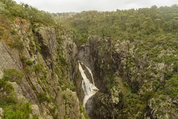 Wollomombi Falls (45)